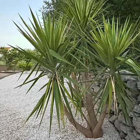 Semesterbostad Marco Polo House